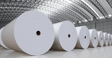 paper-making-industry