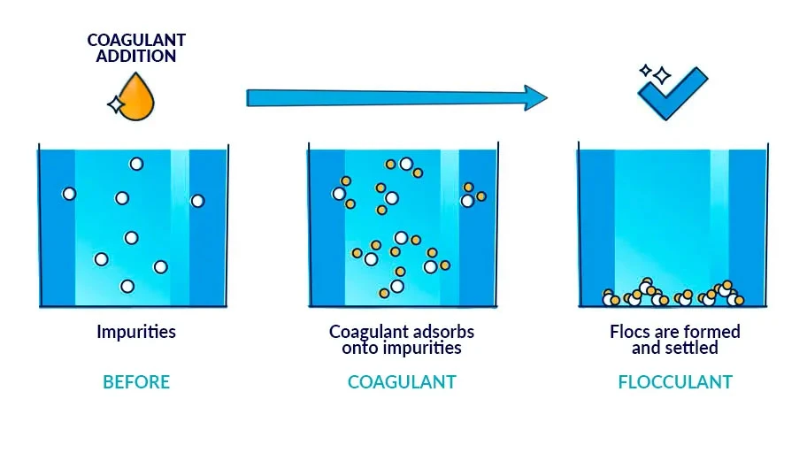 Coagulation and flocculation Coagulation and flocculation